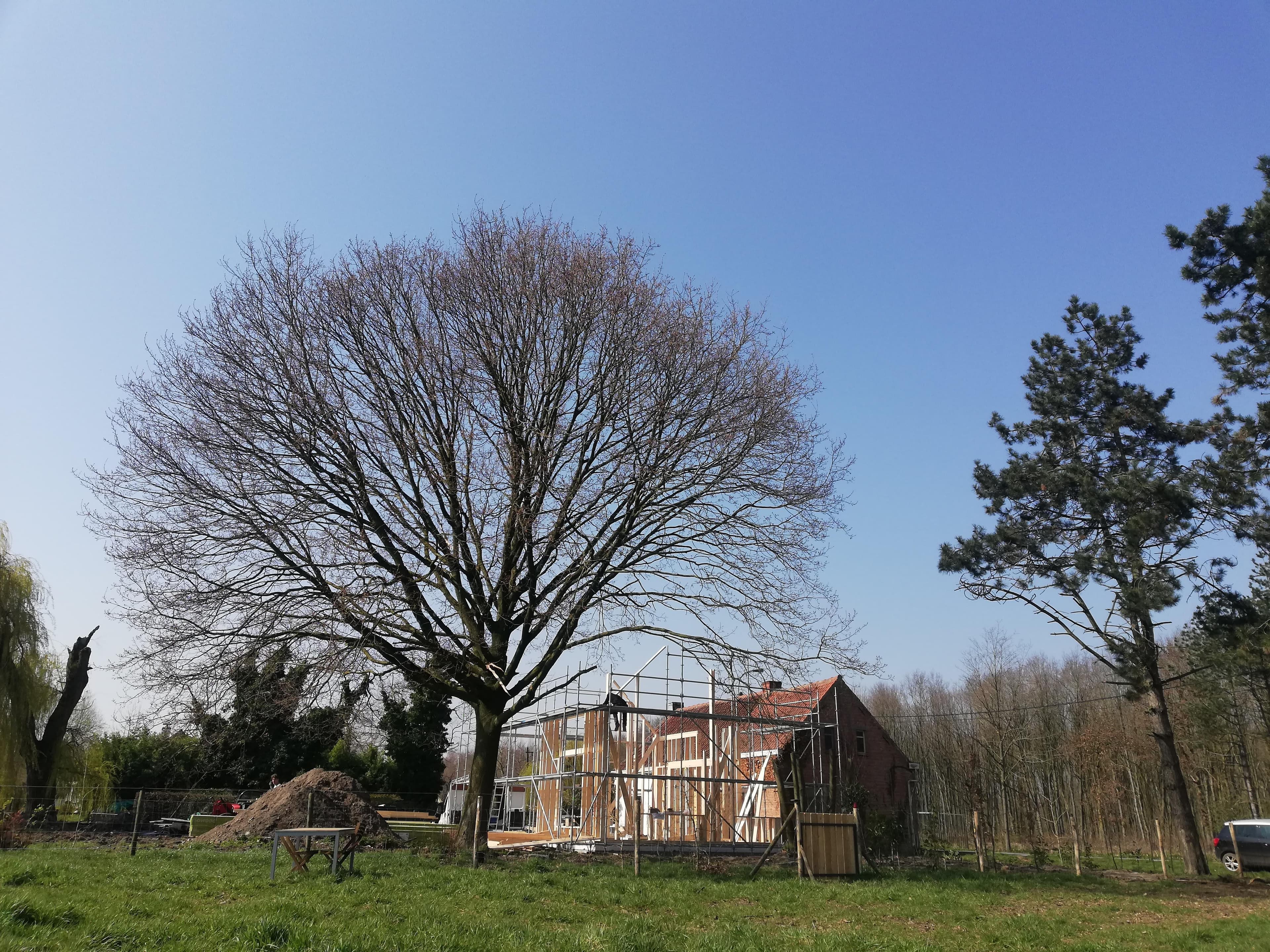 Eco-woning in een groen decor te Zaffelare (België)